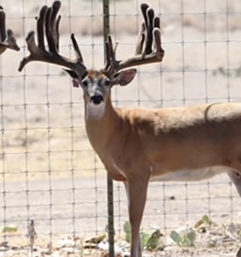 Mosquito Misting for deer breeding operations