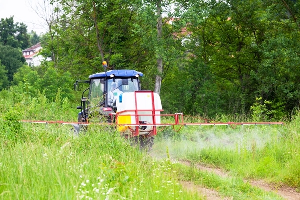 How Is Mosquito Misting different Than Mosquito Fogging?